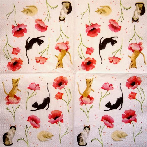 KAT-370 Cats - 3-ply - Grätz - CS